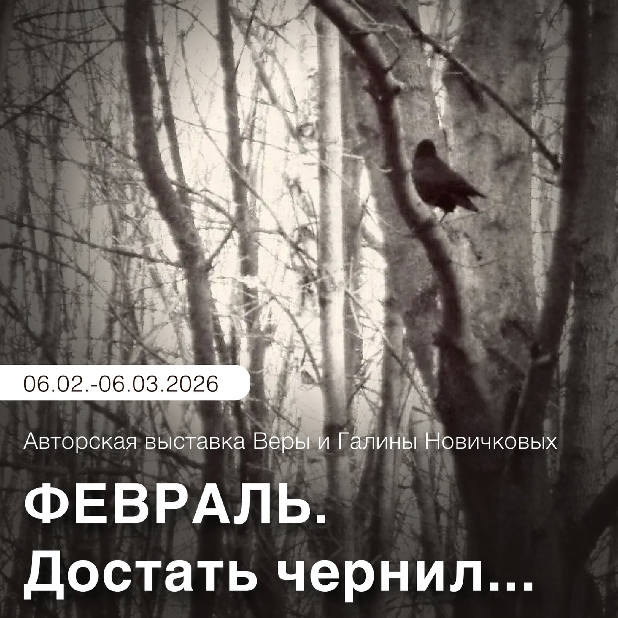 ФЕВРАЛЬ. ДОСТАТЬ ЧЕРНИЛ.