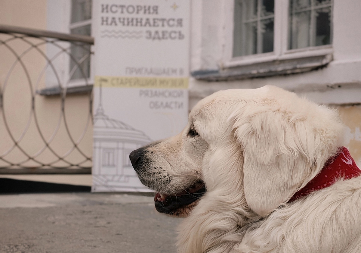 Наш музей в своих стенах с радостью встречает не только детей и взрослых, но и четвероногих друзей! 