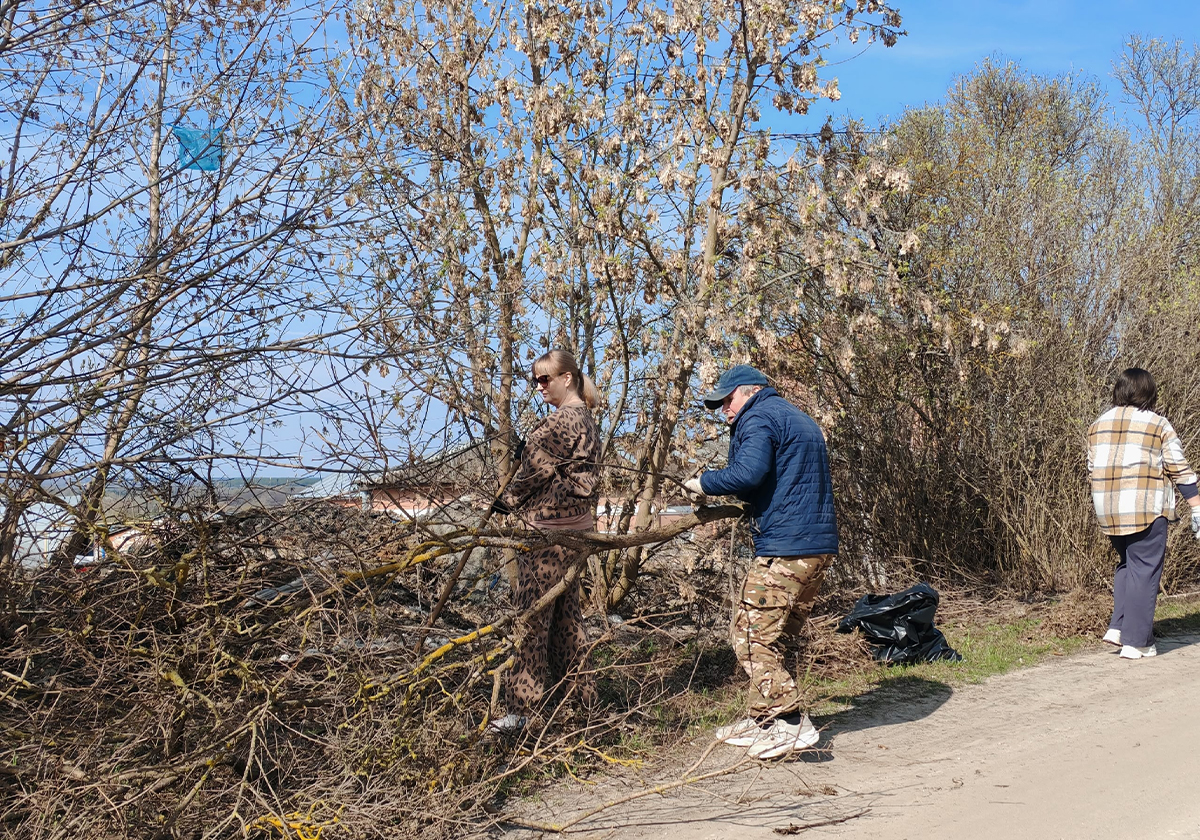 Сегодня коллектив Касимовского историко-культурного музея-заповедника дружно вышел на субботник